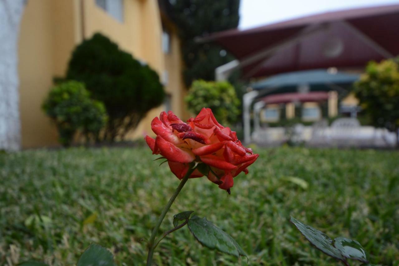 hotel sicomoro en chihuahua